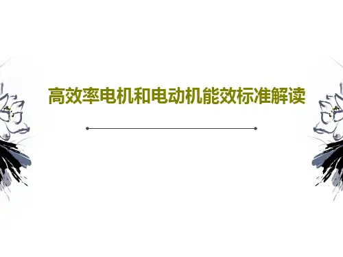 高效率电机和电动机能效标准解读42页PPT