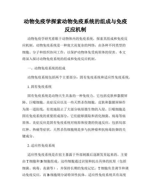 动物免疫学探索动物免疫系统的组成与免疫反应机制