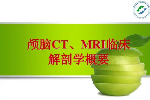 颅脑CT、MRI解剖学