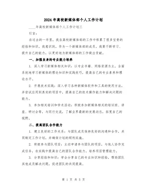 2024年高校新媒体部个人工作计划(2篇)