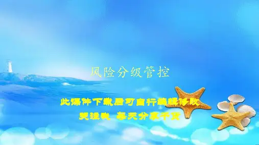 风险分级管控(PPT精选课件)