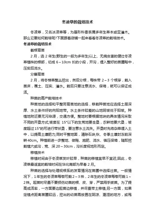 冬凌草的栽培技术