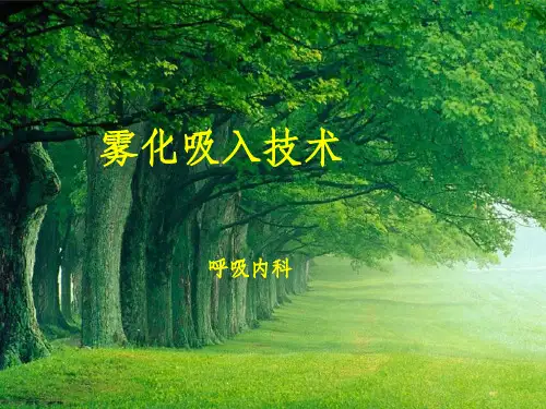 雾化吸入法