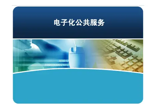 电子政务 电子化公共服务