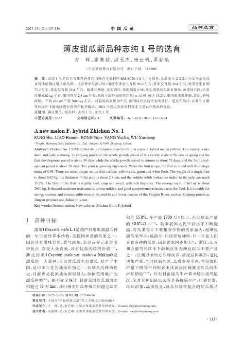 薄皮甜瓜新品种志纯1_号的选育