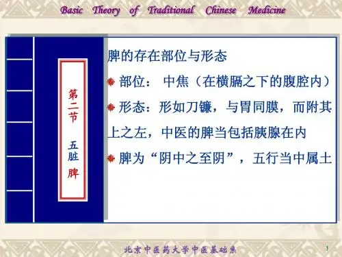 藏象学说-脾