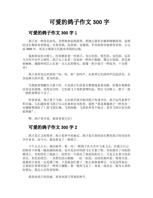 可爱的鸽子作文300字