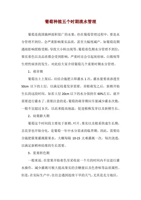 葡萄种植五个时期流水管理