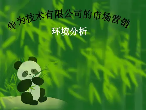 华为技术有限公司的环境分析