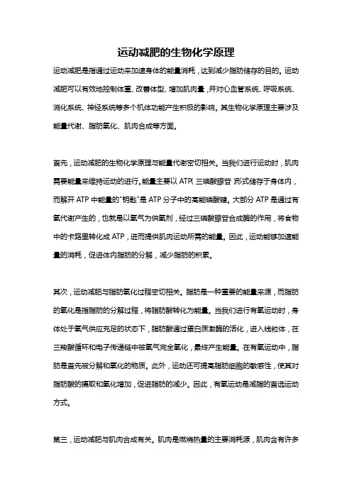 运动减肥的生物化学原理