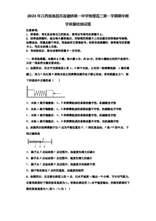 2024年江西省南昌市莲塘镇第一中学物理高三第一学期期中教学质量检测试题含解析