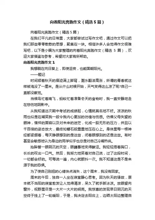 向着阳光奔跑作文（精选5篇）