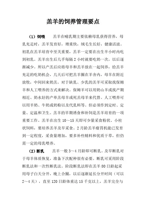 羔羊的饲养管理要点