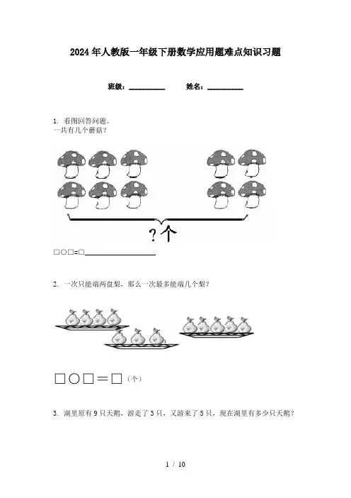 2024年人教版一年级下册数学应用题难点知识习题