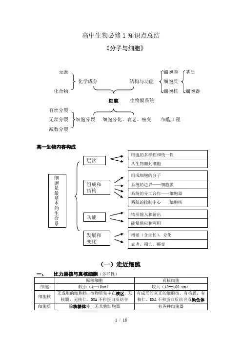 高中生物必修1知识点总结