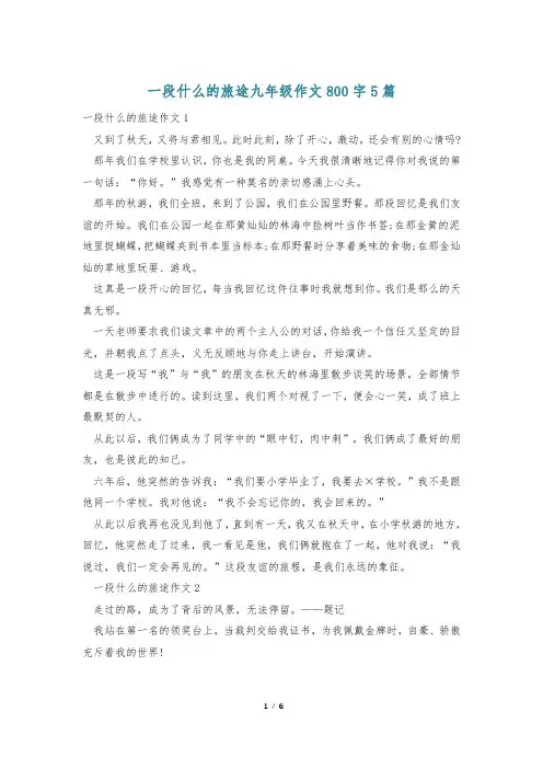 一段什么的旅途九年级作文800字5篇