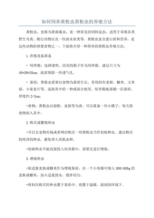 如何饲养黄粉虫黄粉虫的养殖方法