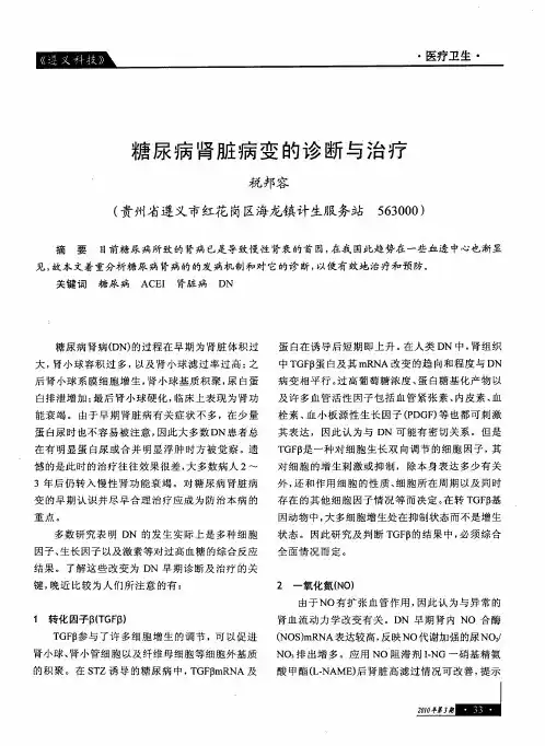 糖尿病肾脏病变的诊断与治疗