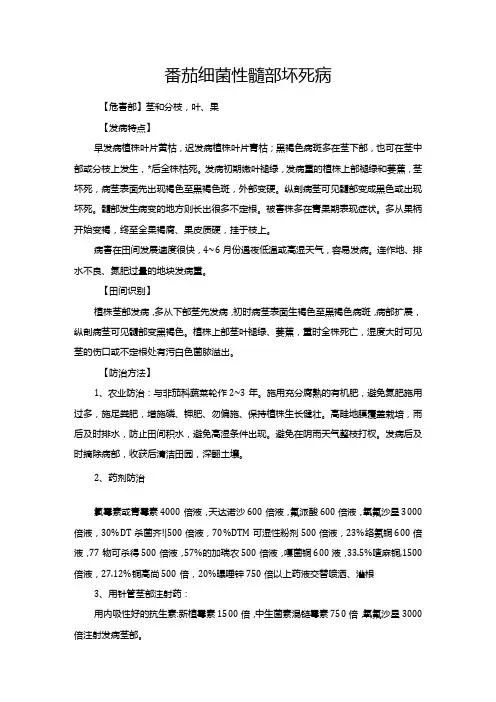 番茄细菌性髓部坏死病