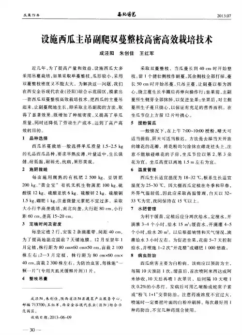 设施西瓜主吊副爬双蔓整枝高密高效栽培技术