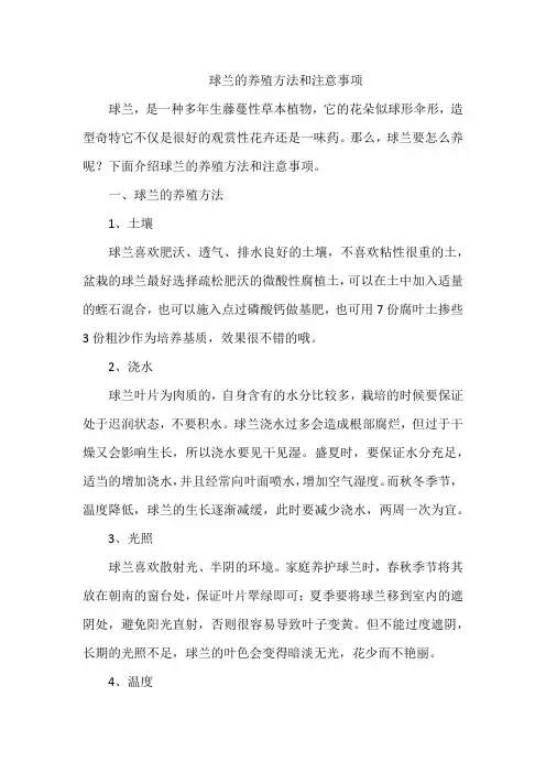 球兰的养殖方法和注意事项