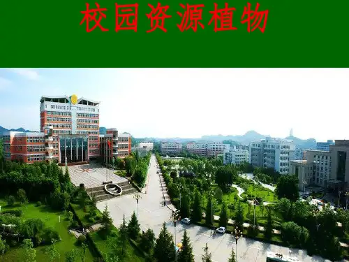 西华师范大学校园植物汇总