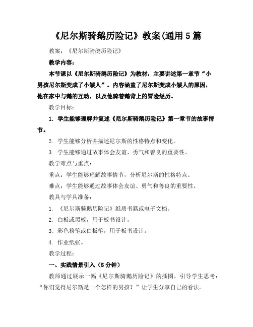 《尼尔斯骑鹅历险记》教案(通用5篇