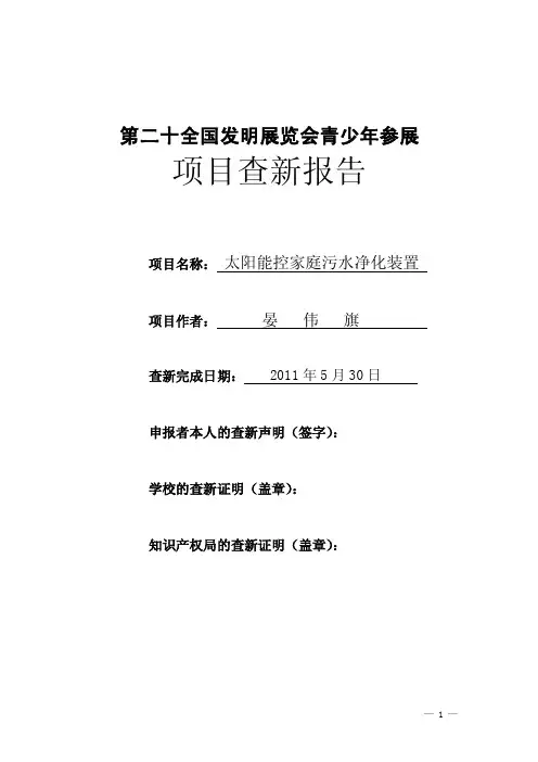 项目查新报告
