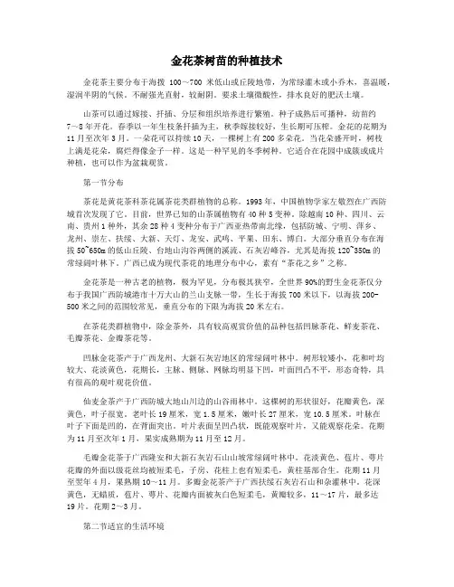 金花茶树苗的种植技术
