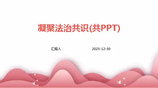 凝聚法治共识(共PPT)(精)