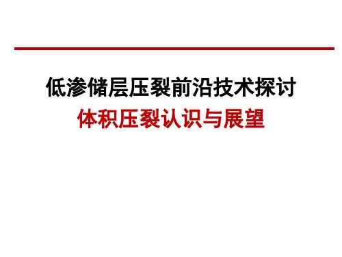 体积压裂认识与展望-zds