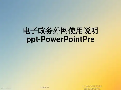 电子政务外网使用说明pptPowerPointPre