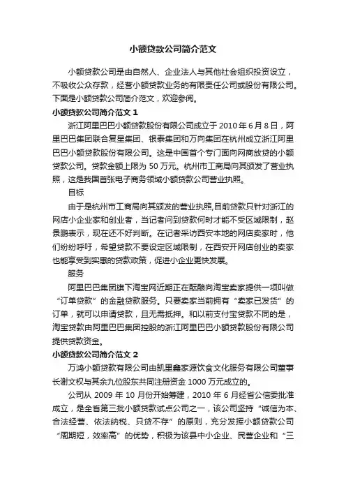 小额贷款公司简介范文