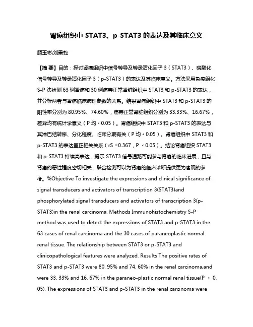 肾癌组织中 STAT3、p-STAT3的表达及其临床意义