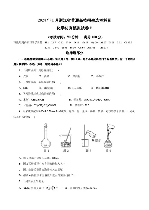 2024年1月浙江省普通高校招生选考科目考试化学仿真模拟试卷B(考试版)