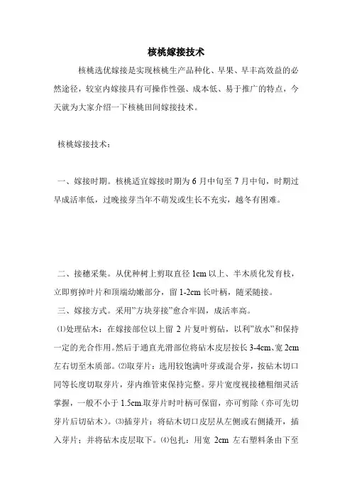 核桃嫁接技术.doc