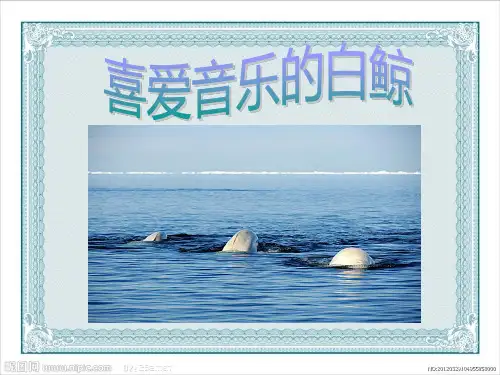 喜爱音乐的白鲸 公开课版ppt课件