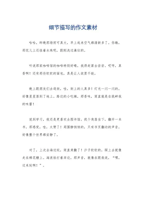 细节描写的作文素材