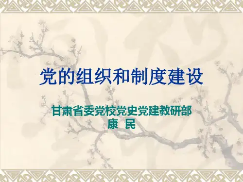 党的组织和制度建设-PPT课件
