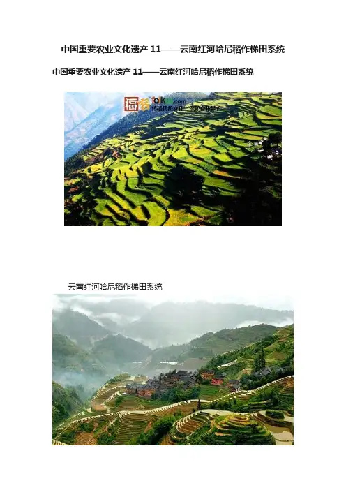 中国重要农业文化遗产11——云南红河哈尼稻作梯田系统