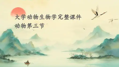 大学动物生物学完整课件动物第三节