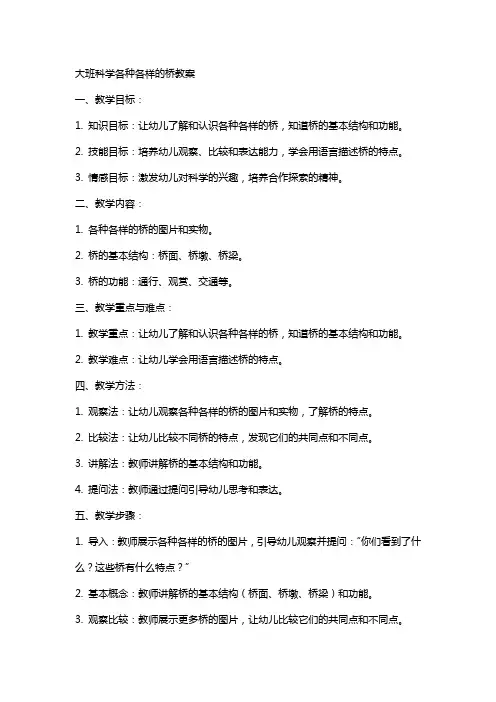 大班科学各种各样的桥教案