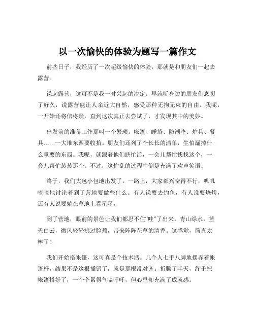 以一次愉快的体验为题写一篇作文