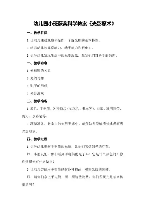 幼儿园小班获奖科学教案《光影魔术》
