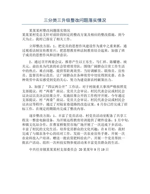 三分类三升级整改问题落实情况