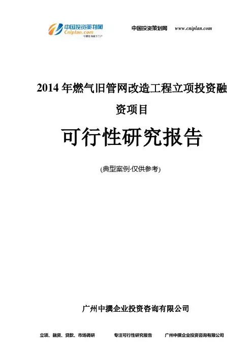 2014年燃气旧管网改造工程融资投资立项项目可行性研究报告(中撰咨询)