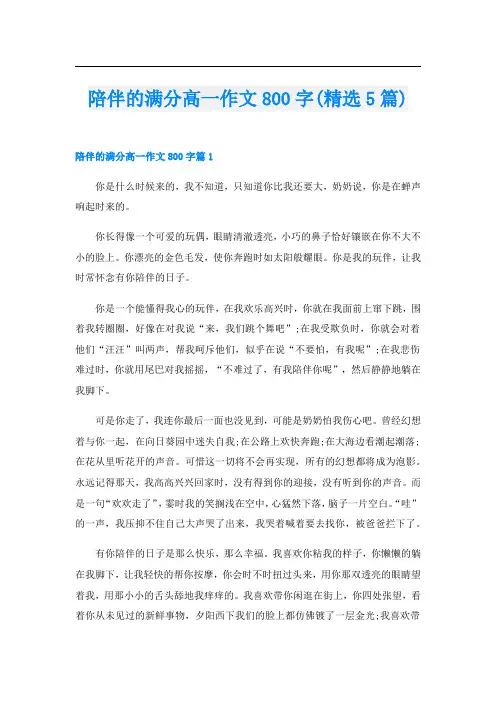 陪伴的满分高一作文800字(精选5篇)