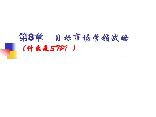 目标市场战略