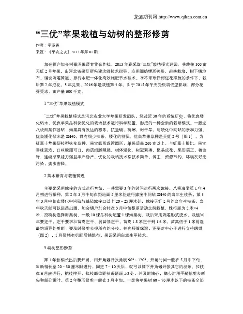 “三优”苹果栽植与幼树的整形修剪