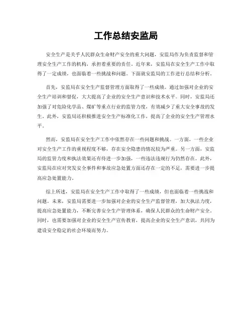 工作总结安监局